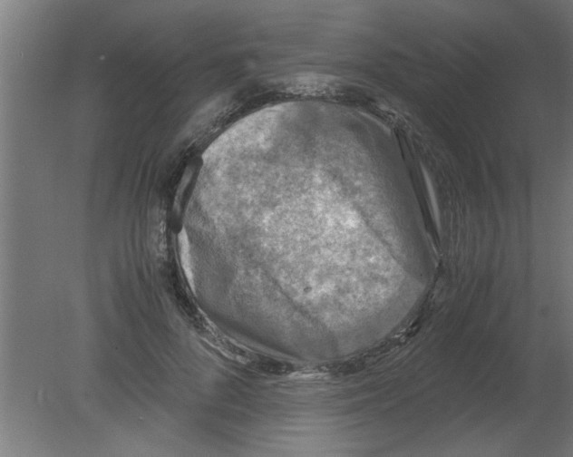 X0000080810696200701122241