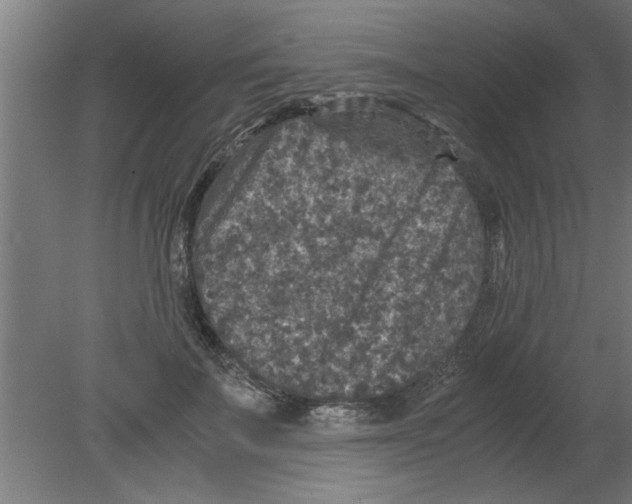 X0000080810699200701122241