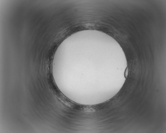 X0000080810702200701122241