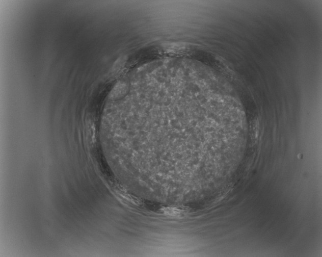 X0000080810703200701122241