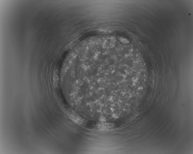 X0000080810707200701122241