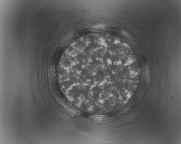 X0000080810711200701122241