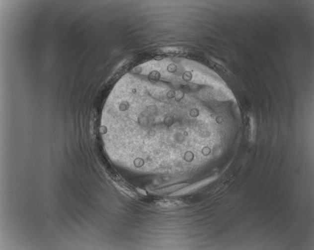 X0000080810712200701122241