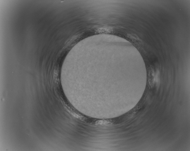 X0000080810714200701122241