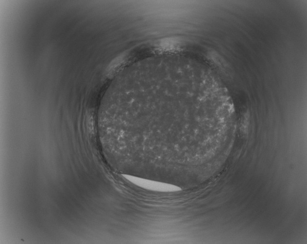 X0000080810715200701122241