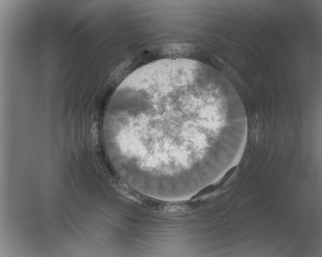 X0000080810716200701122241