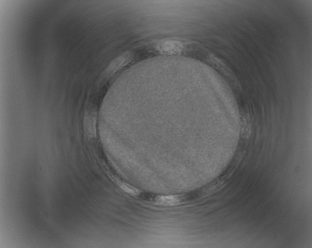 X0000080810717200701122241