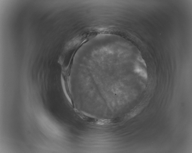 X0000080810720200701122241