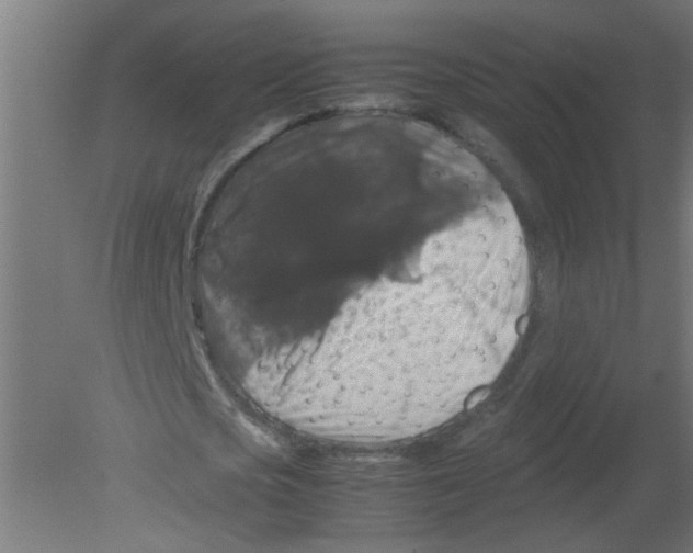 X0000080810721200701122240