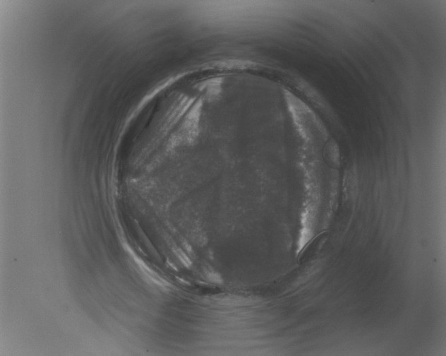 X0000080810722200701122240