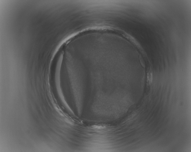 X0000080810724200701122240