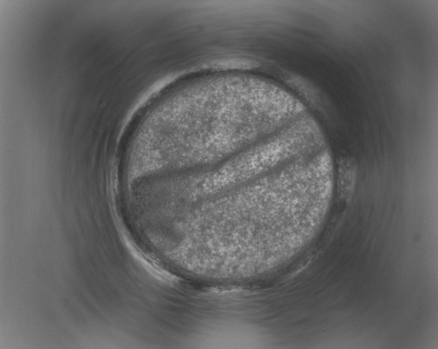 X0000080810726200701122240