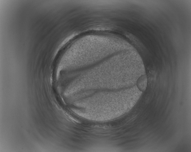 X0000080810727200701122240