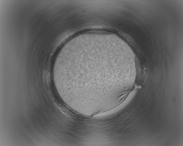 X0000080810728200701122240