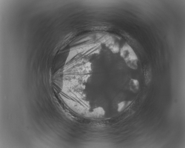 X0000080810729200701122240