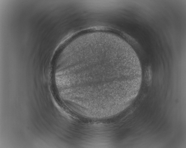 X0000080810730200701122240