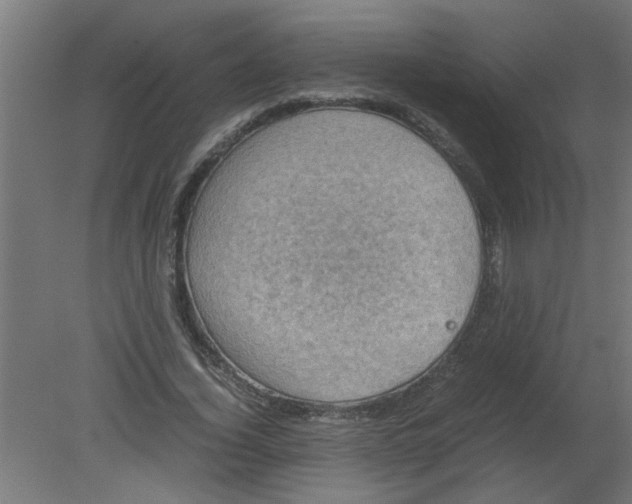 X0000080810732200701122240