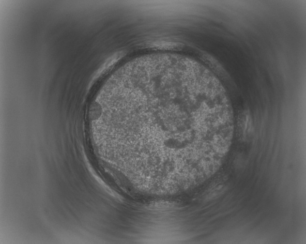 X0000080810734200701122240