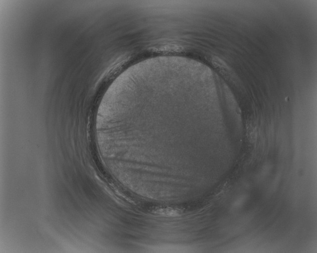 X0000080810735200701122240