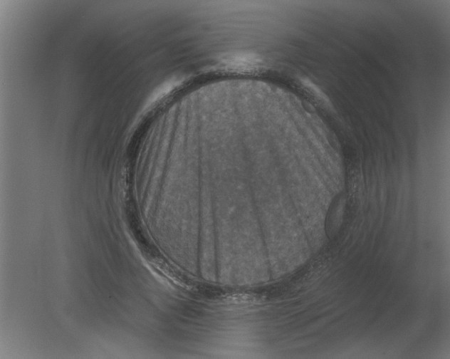 X0000080810736200701122240