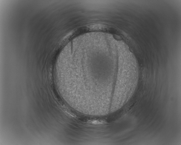 X0000080810737200701122240