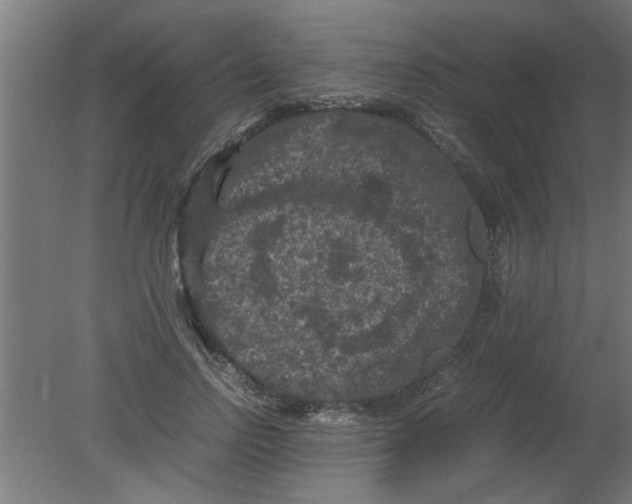 X0000080810742200701122240