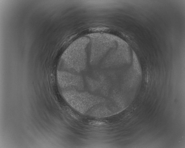 X0000080810743200701122240