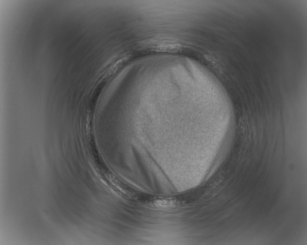 X0000080810744200701122240