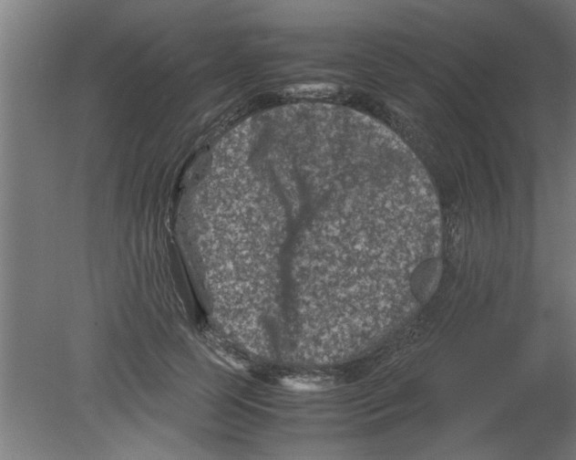 X0000080810745200701122240