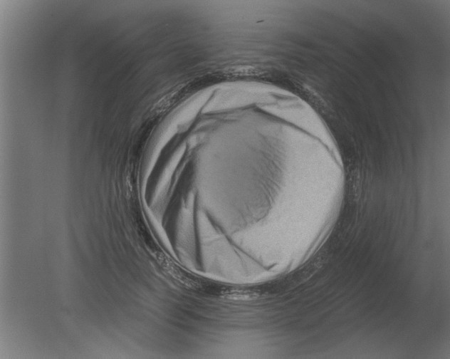 X0000080810746200701122240