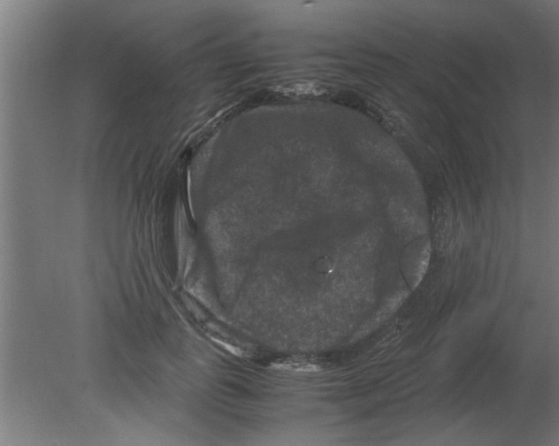 X0000080810747200701122240