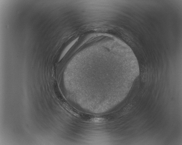 X0000080810748200701122240