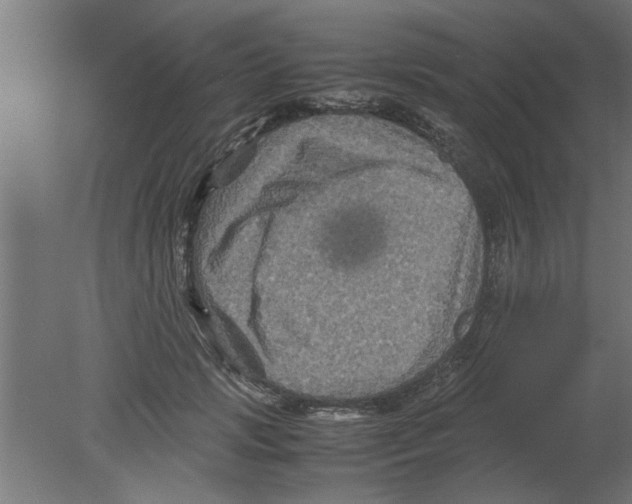 X0000080810749200701122240