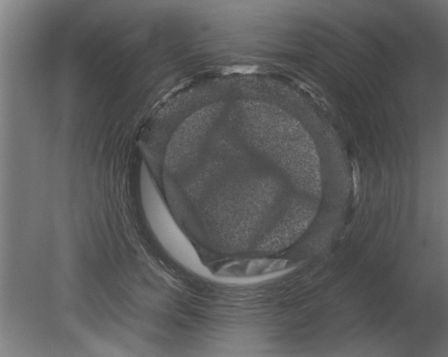 X0000080810750200701122240