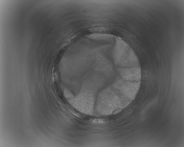 X0000080810751200701122240