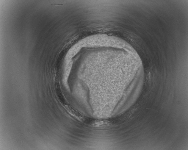 X0000080810752200701122240