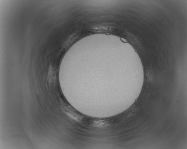 X0000080810753200701122240