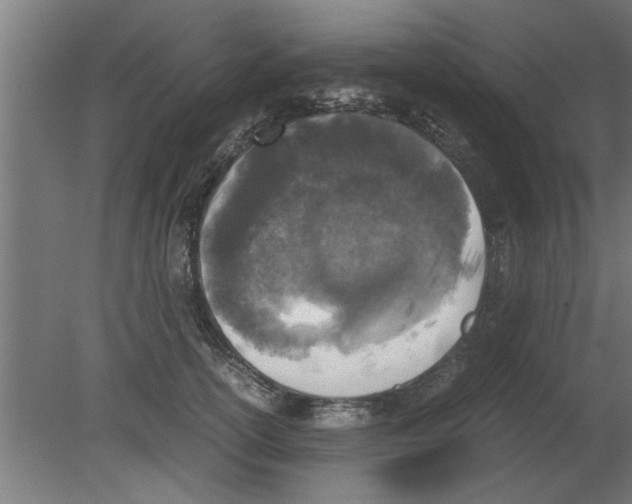 X0000080810754200701122240