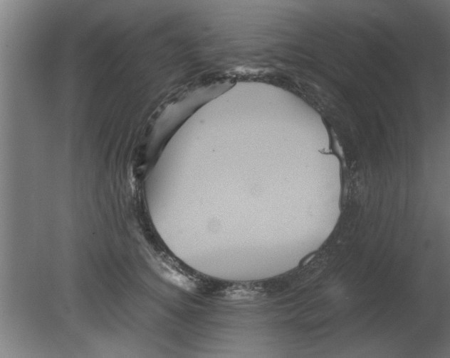 X0000080810756200701122240