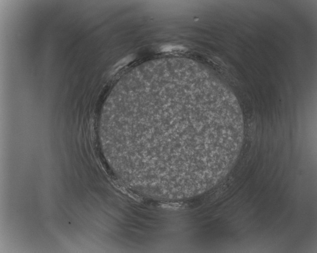 X0000080810757200701122240