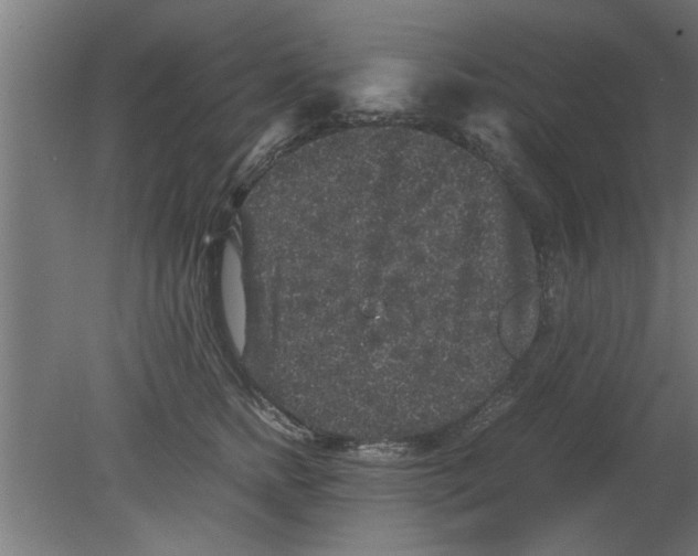 X0000080810758200701122240