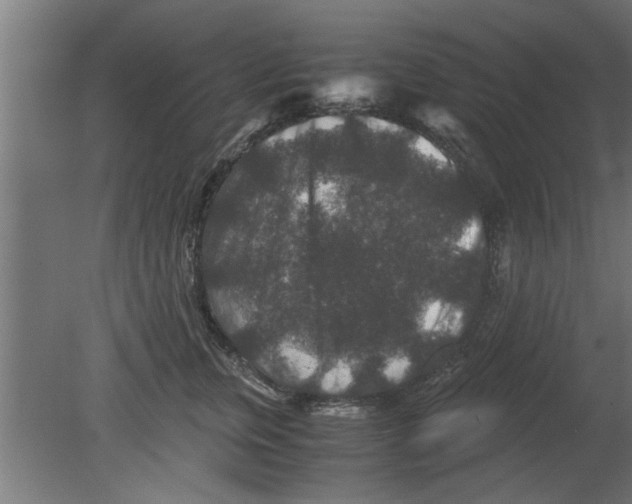 X0000080810759200701122240