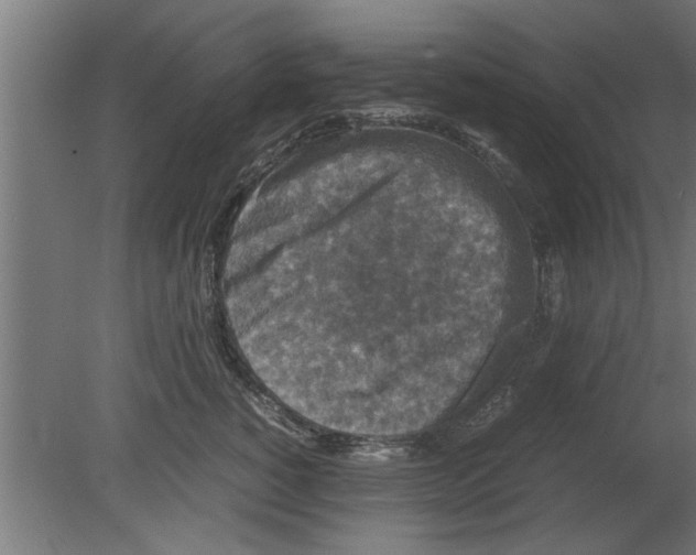 X0000080810760200701122240