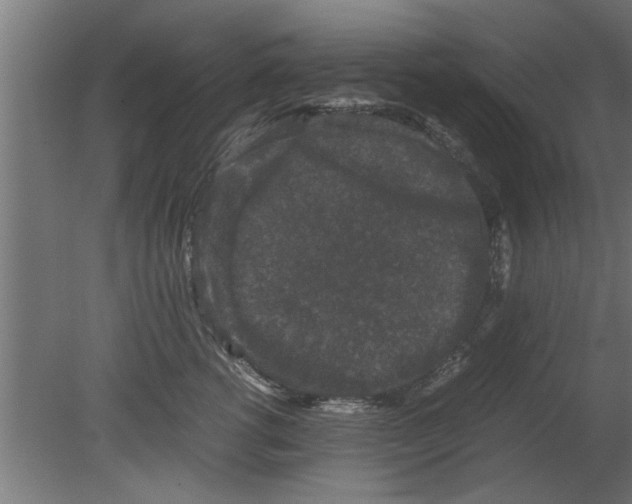 X0000080810762200701122240