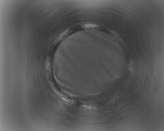 X0000080810763200701122240