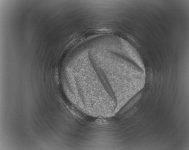 X0000080810764200701122241