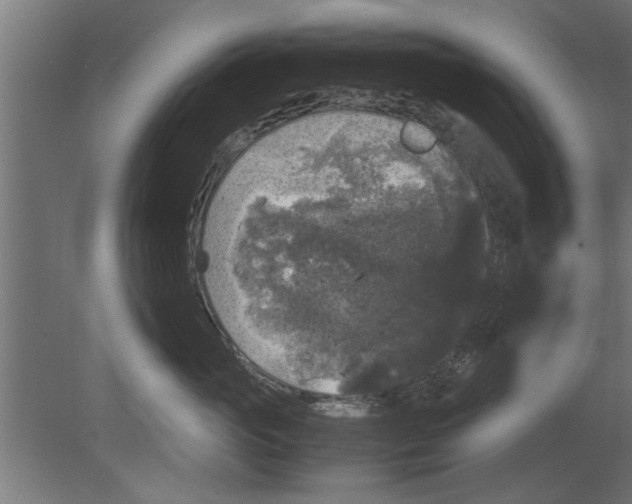 X0000080810765200701122241