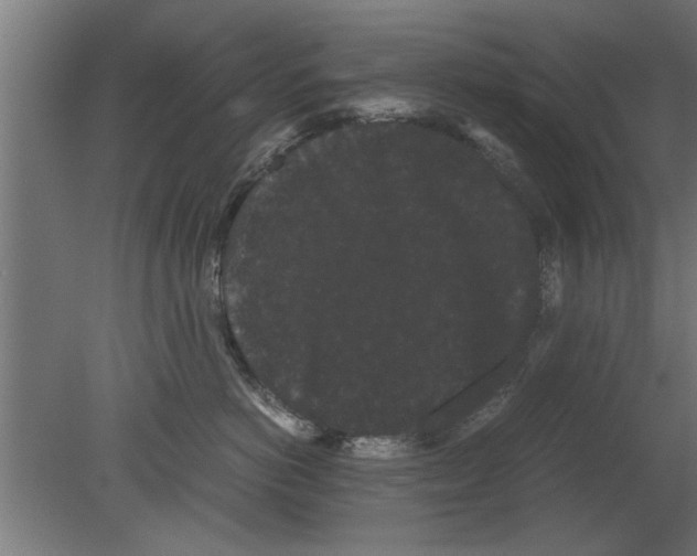 X0000080810766200701122241