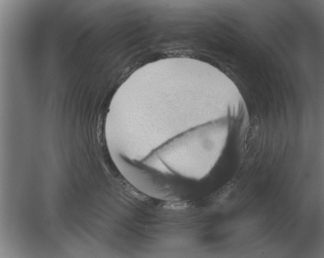 X0000080810767200701122241