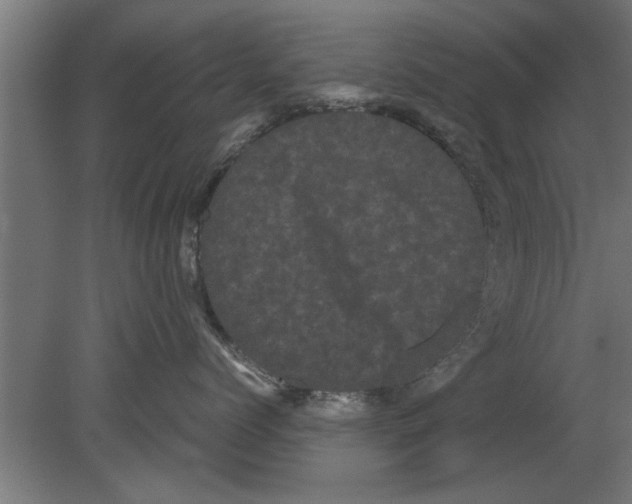 X0000080810768200701122241